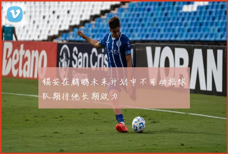 锡安在鹈鹕未来计划中不可动摇球队期待他长期效力