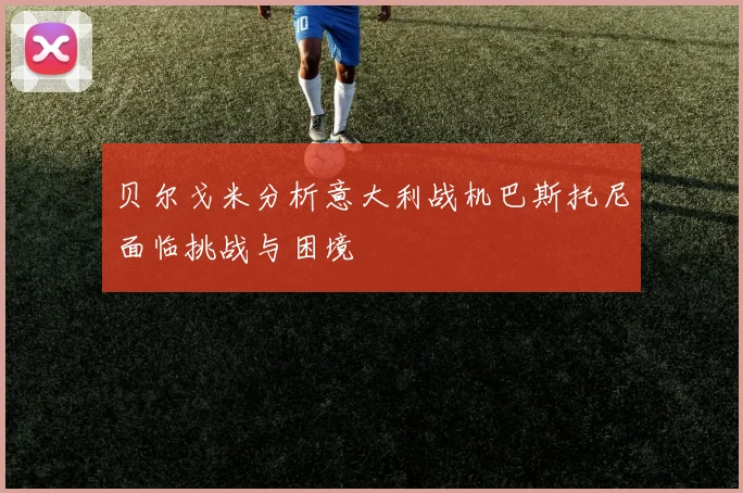 贝尔戈米分析意大利战机巴斯托尼面临挑战与困境