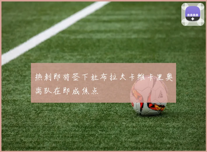 热刺即将签下杜布拉夫卡维卡里奥离队在即成焦点